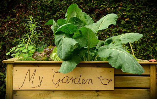 Raised Planter Boxes Melbourne