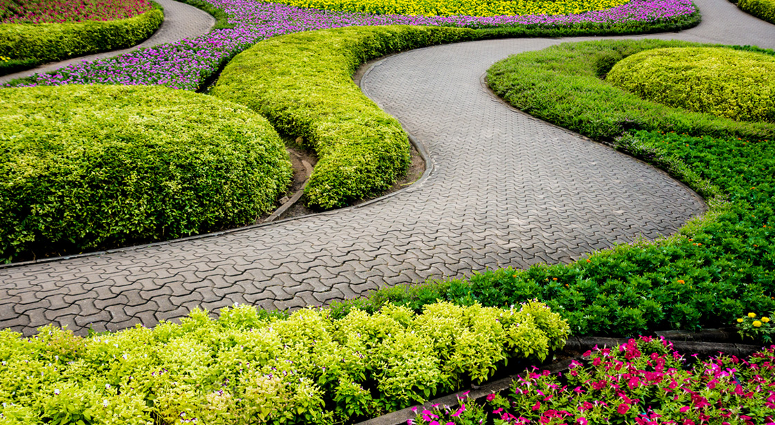 Professional Landscape Designer in Melbourne