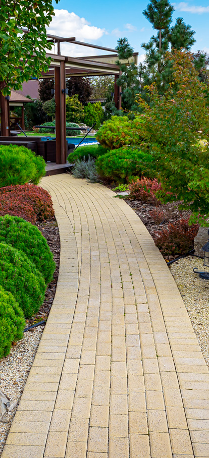 Professional Landscaping Services