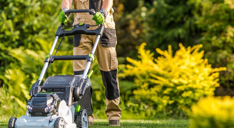 Don’t Waste Time! Let Professionals Handle Your Lawn and Garden Services