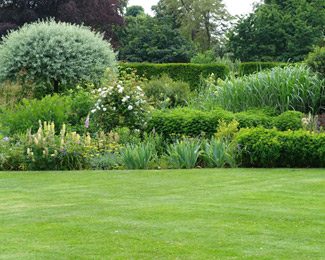 Raised Garden Beds