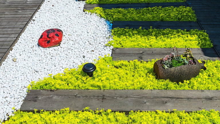 Garden Design & Build – Bring Your Vision to Life