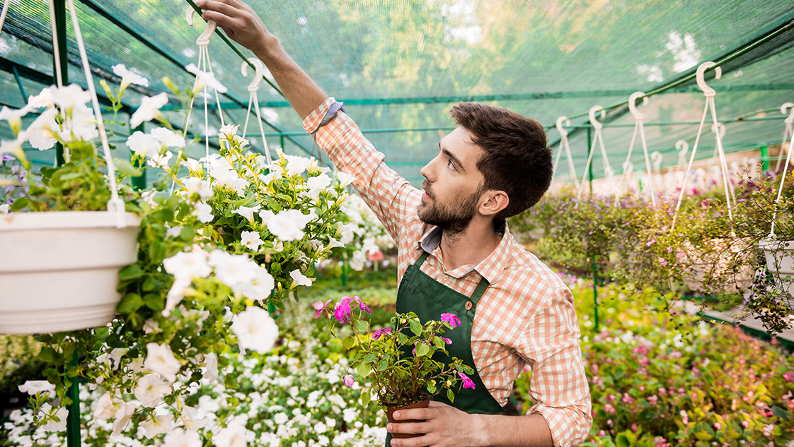 Professional Landscape Designers in Melbourne