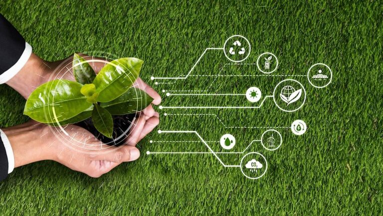 Eco-Friendly Solutions for Melbourne Homes