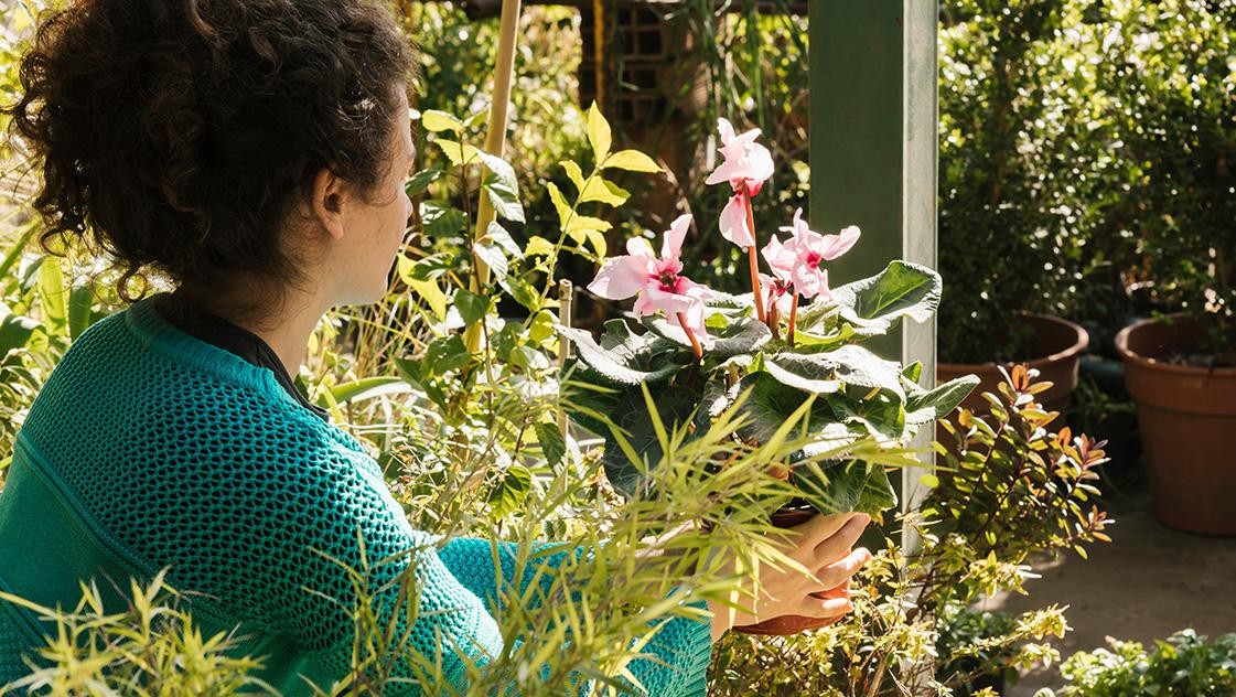 Advantages of Sustainable Landscaping for Your Property