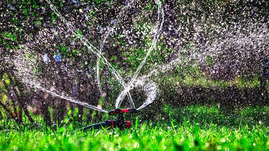 Rainwater Harvesting Systems For Your Eco-Friendly Landscape