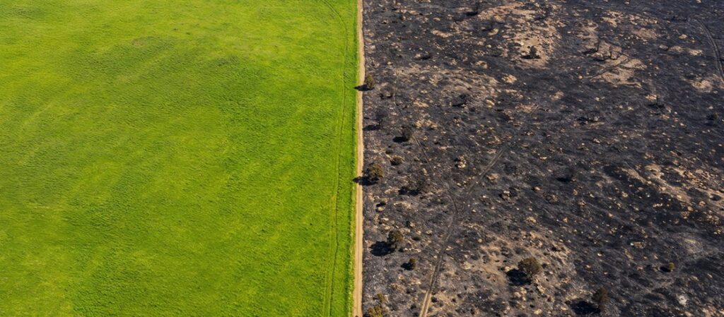 Premium Turf With Trusted Local Experts