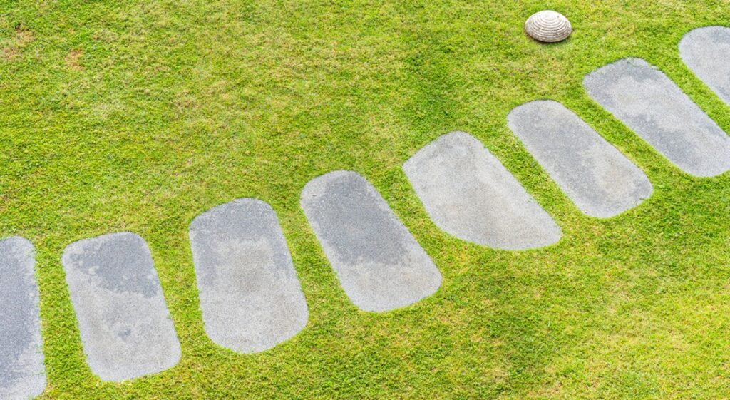 Professional turf services in Melbourne