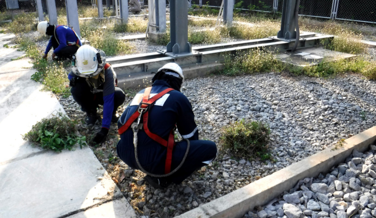 How to Choose a Commercial Landscaping Team in Melbourne