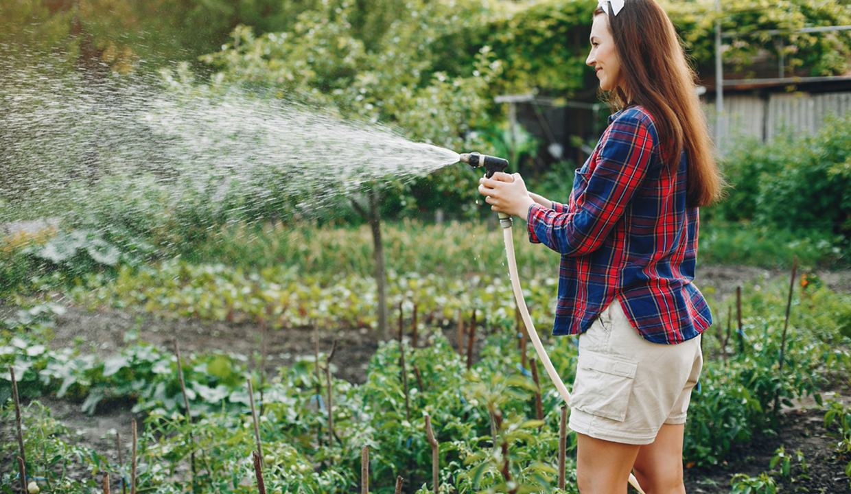 Which Irrigation System Is Best For Your Melbourne Garden