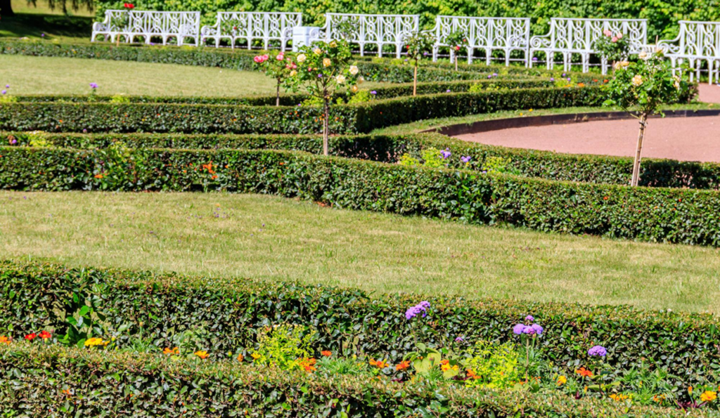 Which System Is Better For Lawns And Garden Beds