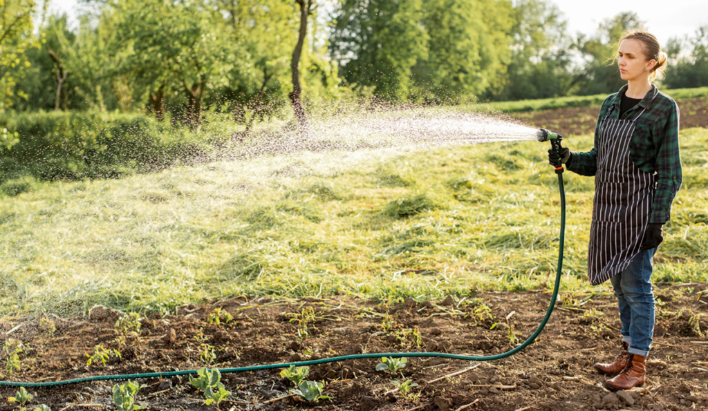  Difference Between Drip Irrigation And Sprinkler Systems