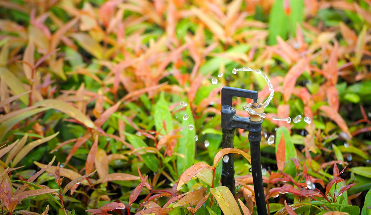 7 Mistakes to Avoid When Setting Up Automatic Watering System